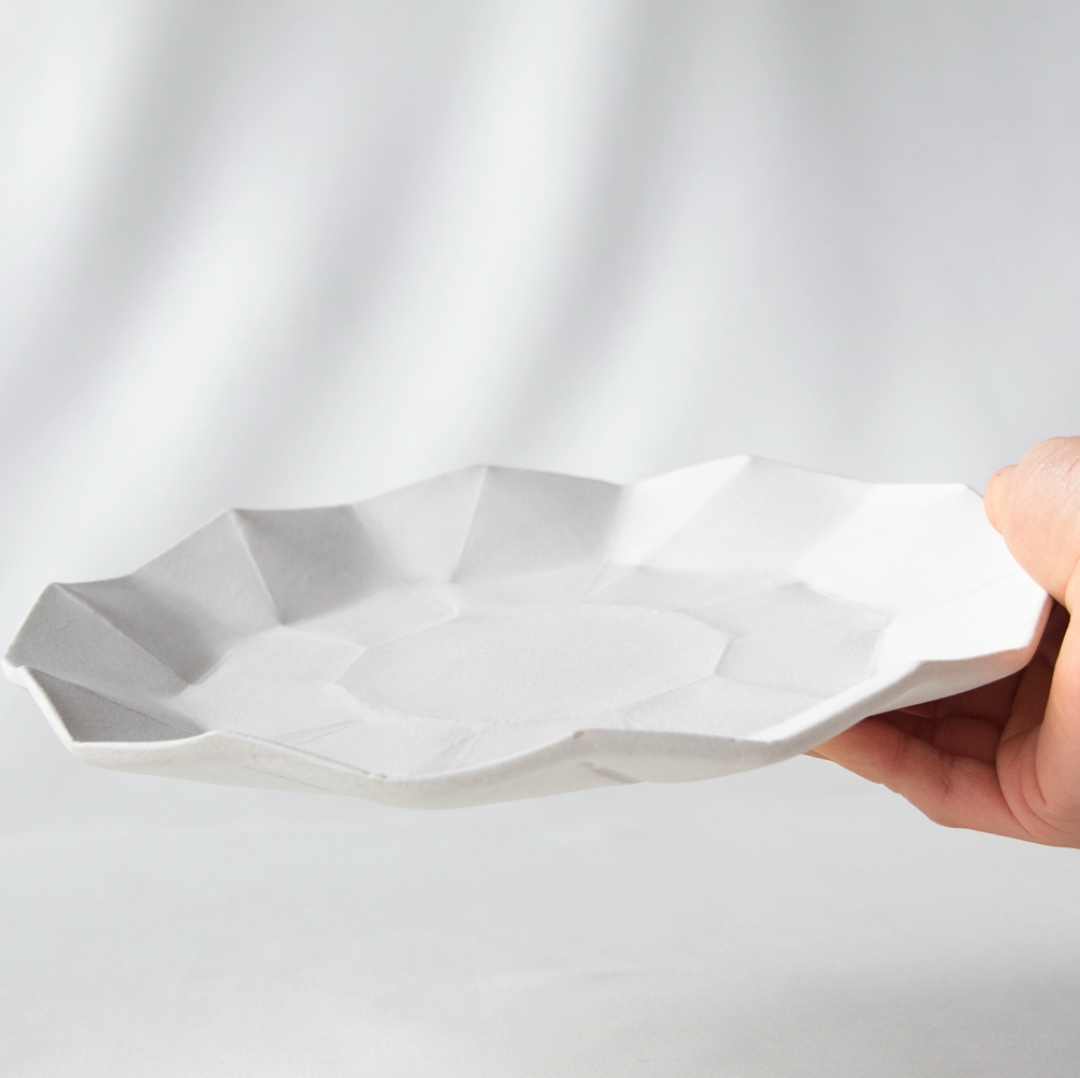 Whiteware Origami Plate
